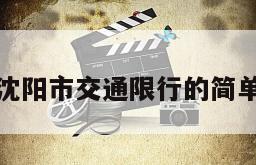 辽宁沈阳市交通限行的简单介绍