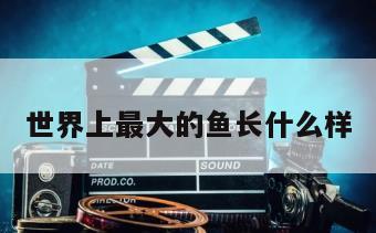 世界上最大的鱼长什么样