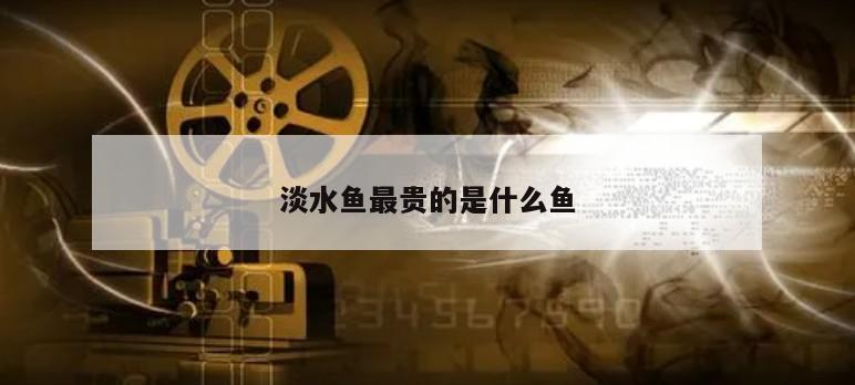 淡水鱼最贵的是什么鱼