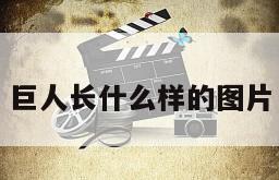 巨人长什么样的图片