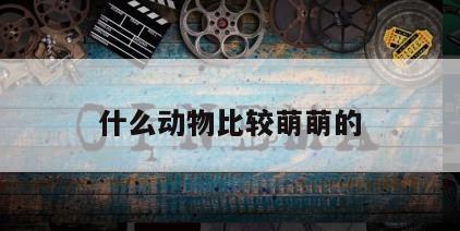 什么动物比较萌萌的