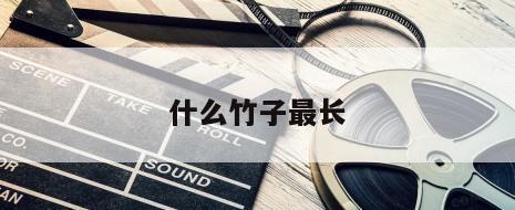 什么竹子最长