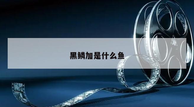 黑鳞加是什么鱼