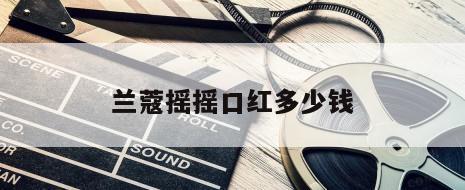 兰蔻摇摇口红多少钱